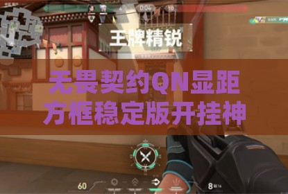 无畏契约QN显距方框稳定版开挂神器